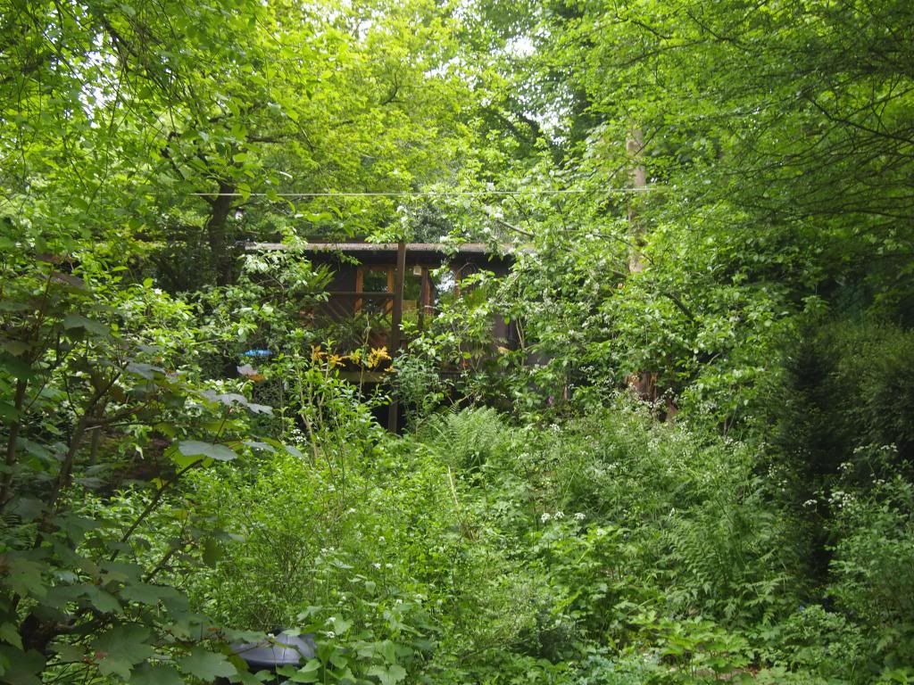 Toot Box Hill. Home of the best sheds.